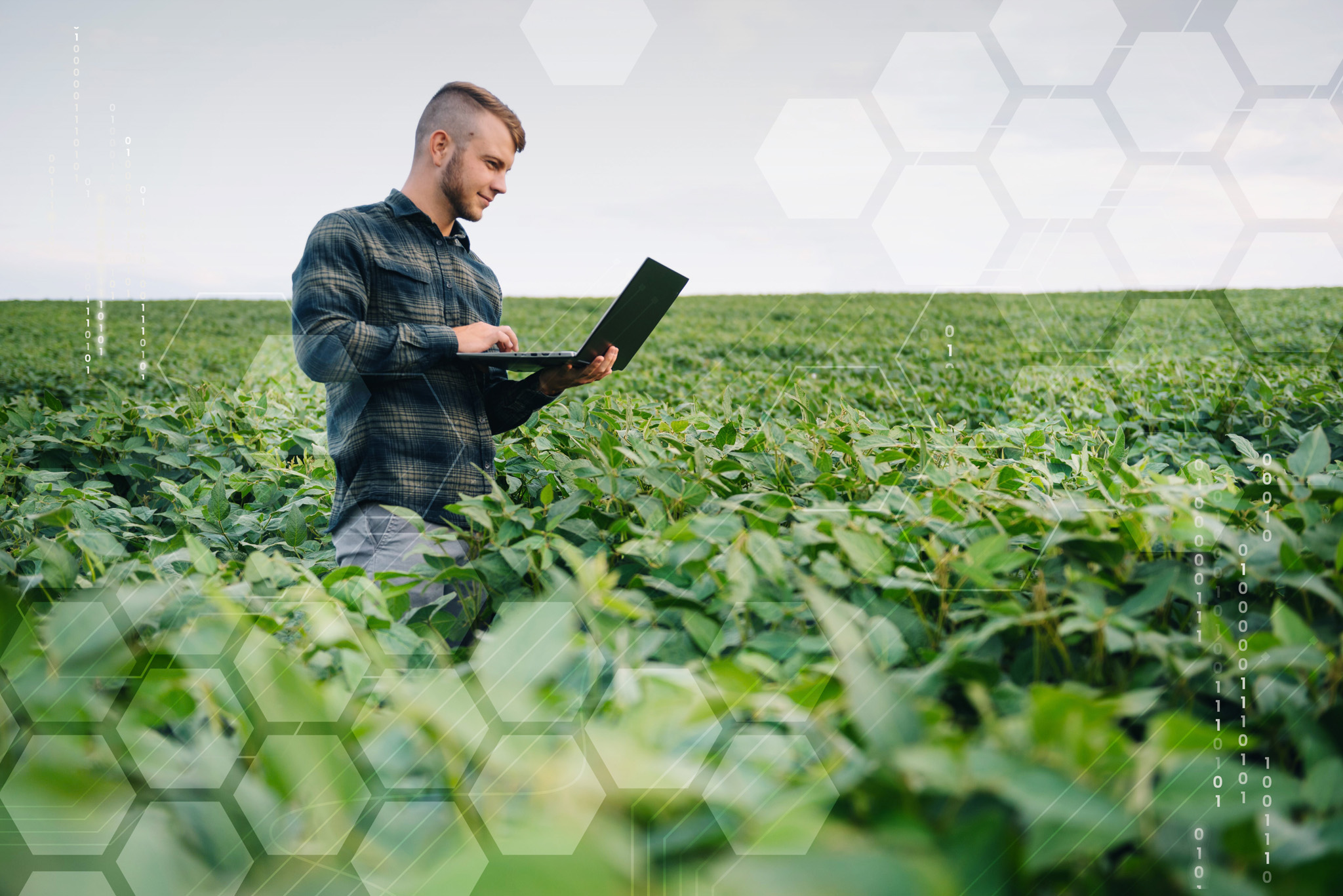 A digitális mezőgazdaság robbanásszerű fejlődés előtt áll Magyarországon