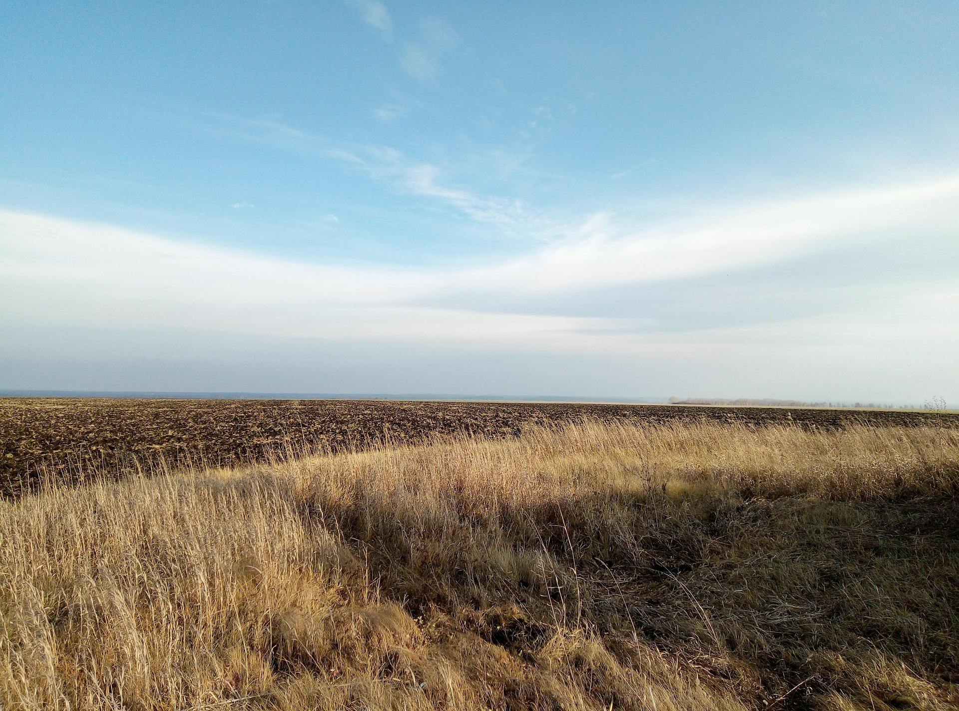 2024-ben is jelentősen emelkedtek az uniós földárak 