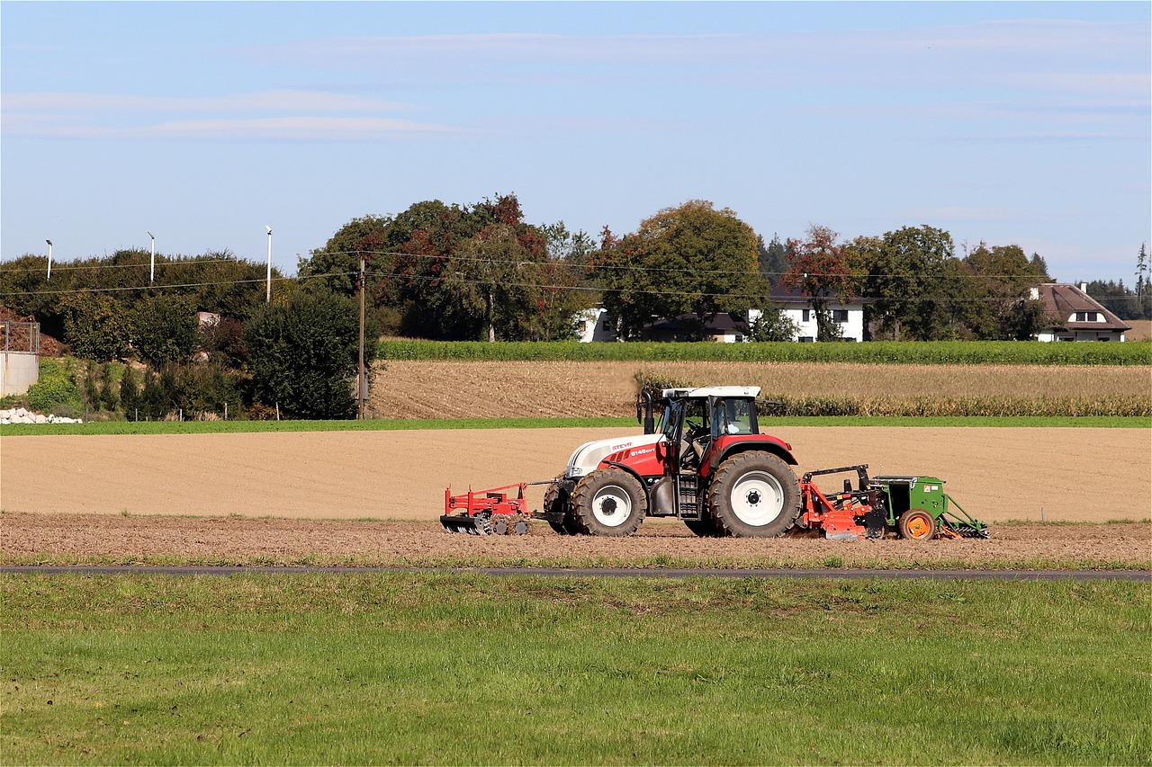 Ezek voltak a tavalyi év legnagyobb kihívásai