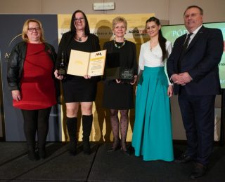 ©Jaksity Iván  Ivan.jaksity@gmail.com